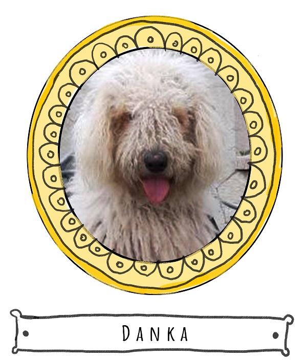 Danka